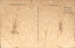 CPA Lyon Panorama de la Place Bellecour 