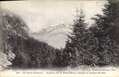 CPA Col de la Faucille Apercu sur le Mont Blanc depuis le Sentier de Gex 