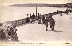 CPA Menton La Promenade du Midi et le Cap Martin 