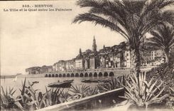 CPA Menton La Ville et le Quai entre les Palmiers 
