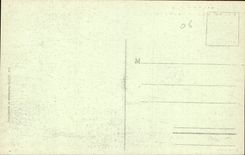 CPA Menton La Ville et le Quai entre les Palmiers 