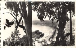 CPA Nice Vue du Chateau 