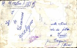 CPA Menton Vue d'Ensemble des Jardins Public Les Montagnes de Sainte Agnes 