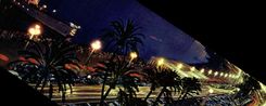CPA Nice La Nuit 