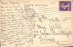 CPA Nice Vue generale entre les Pins Mont Boron 