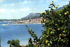 CPA Menton Vue generale 