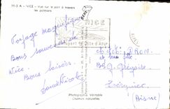 CPA Nice Vue sur le port a travers les palmiers 