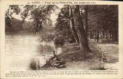 CPA Lyon Parc de la Tete d'Or Les Bords du Lac 