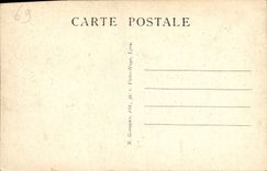 CPA Lyon Parc de la Tete d'Or Les Bords du Lac 