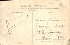 CPA Nice Les Nouveaux Jardins