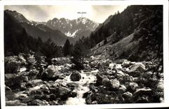 CPA La Suisse Nicoise St Martin Vesubie AM 