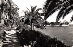 CPA Beaulieu sur Mer Le Jardin Exotique Au fond 