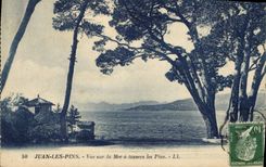 CPA Juan les Pins Vue sur la Mer a travers les Pins 