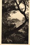 CPA Cote d'Azur Le Cap Ferrat vu a travers les Pins d'Alep 