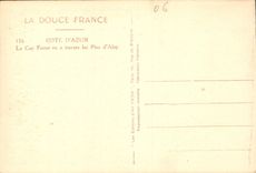 CPA Cote d'Azur Le Cap Ferrat vu a travers les Pins d'Alep