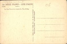 CPA Cote d'Azur Le Cap Ferrat vu a travers les Pins d'Alep 