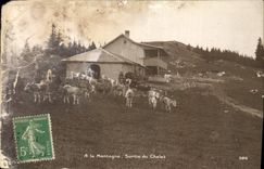 CPA A la Montagne Sortie du Chalet Vaches