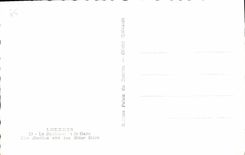 CPA Lourdes La Basilique et le Gave 