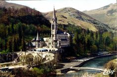 CPA Lourdes La Basilique le Gave et le nouveau 