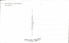 CPA Paysages Alpestres Le Torrent 