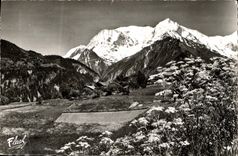 CPA La Chaine du Mont Blanc en ete 