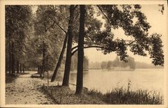 CPA Lyon Rhone Parc de la Tete d'Or 