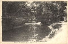CPA Lyon Un Sous bois au Parc de la Tete d'Or 