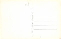 CPA Lyon Illustre vue Panoramique 