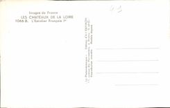 CPA Les Chateaux de la loire 1066 B L'Escalier Francois