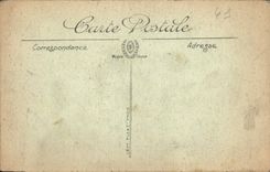 CPA Blois Le Chateau Embleme de Francois 