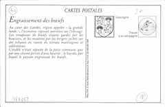 REPRO Interieur dans les Landes lou Pachedeuy Folklore Bœufs