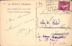 CPA Les Landes De Gascogne L'Etang d'Aureilhan pres de Mimizan