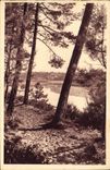 CPA Cote d'Argent Hossegor Landes Une vue du lac a Travers Les Pins 
