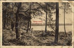 CPA Les landes de Gascogne L'Etang Blanc 