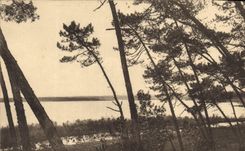 CPA Dans les landes des Gascogne 