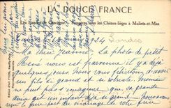 CPA Les Landes de Gascogne Fougeres sous les Chenes lieges a Moliets et Maa