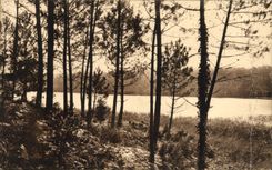 CPA Dans Les Landes de Gascogne Etang de Laprade a Moliets 