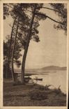 CPA Dans Les Landes de Gascogne l'Etang d'Hossegor pres de Capbreton 