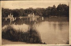CPA Bordeaux Le Lac du Parc Bordelais 