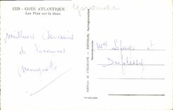 CPA Cote Allantique les Pins sur la dune 