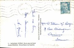 CPA Lacanau Ocean Route dans la Foret Andre Delbeau Grand Bazar du Capitole 