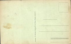 CPA Lyon Statue equestre de Louis XIV 