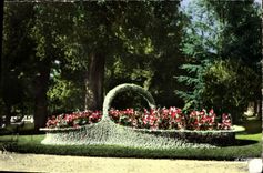 CPA Bordeaux Gironde La Corbeille du Jardin public