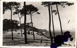 CPA Le Moulleau Arcachon Gironde Le Parc des Abatiulles et vue les passes du Bassin 