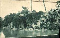 CPA Nice Jardins Albert La Grotte 