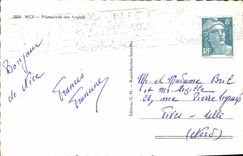 CPA Nice Promenade des Anglais 