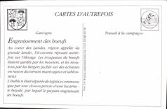 REPRO Interieur dans les Landes lou Pached euy