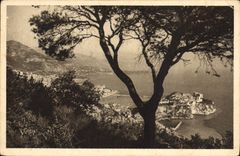 CPA Cote d'Azur Monaco Monte Carlo Vue d'ensemble 