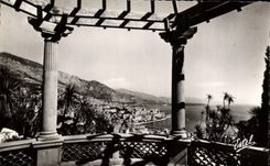 CPA Monte Carlo vu de la Terrasse du Jardin Exotique 