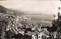 CPA Le Jardin Exotique de Monaco vue generale prise du Jardin sur le Port et la Condamine 